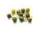 Peridot Dangle Charms, 6mm Natural Green Gemstone Dangles, 10 pcs, Adorabilities